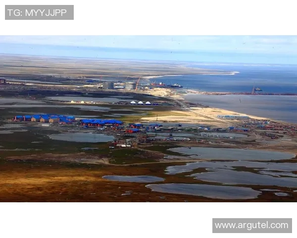 亚马尔地区的能源开发与国际合作前景分析与展望