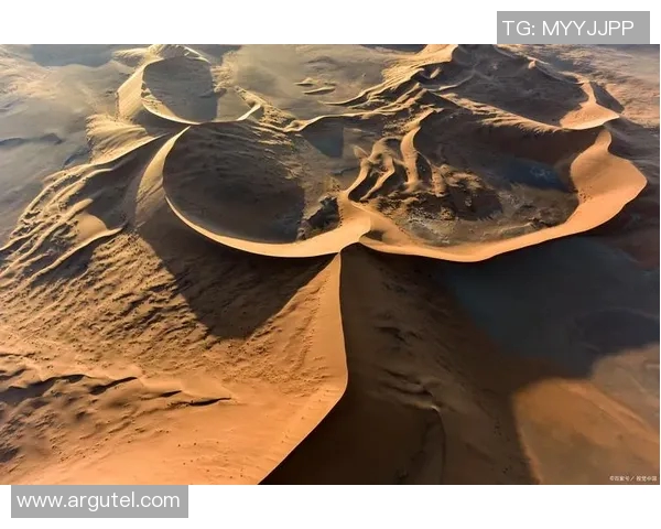 探索阿拉巴的独特魅力与文化底蕴,揭开这片神秘土地的历史与未来