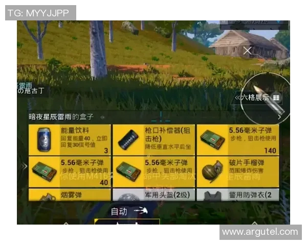 和平精英战术解析：深入探讨BLG战队的控制与策略运用MBA