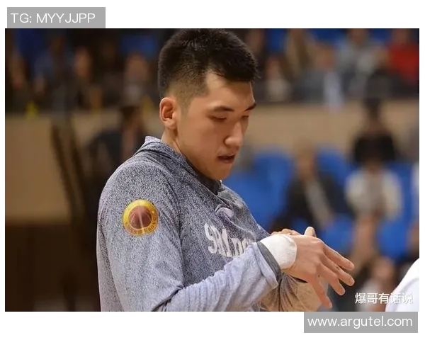 陶汉林：从篮球场上的拼搏者到社会公益的践行者的精彩人生旅程